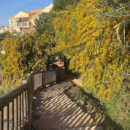 Maria Cabo Roig * Dehesa de Campoamor (Orihuela Costa)